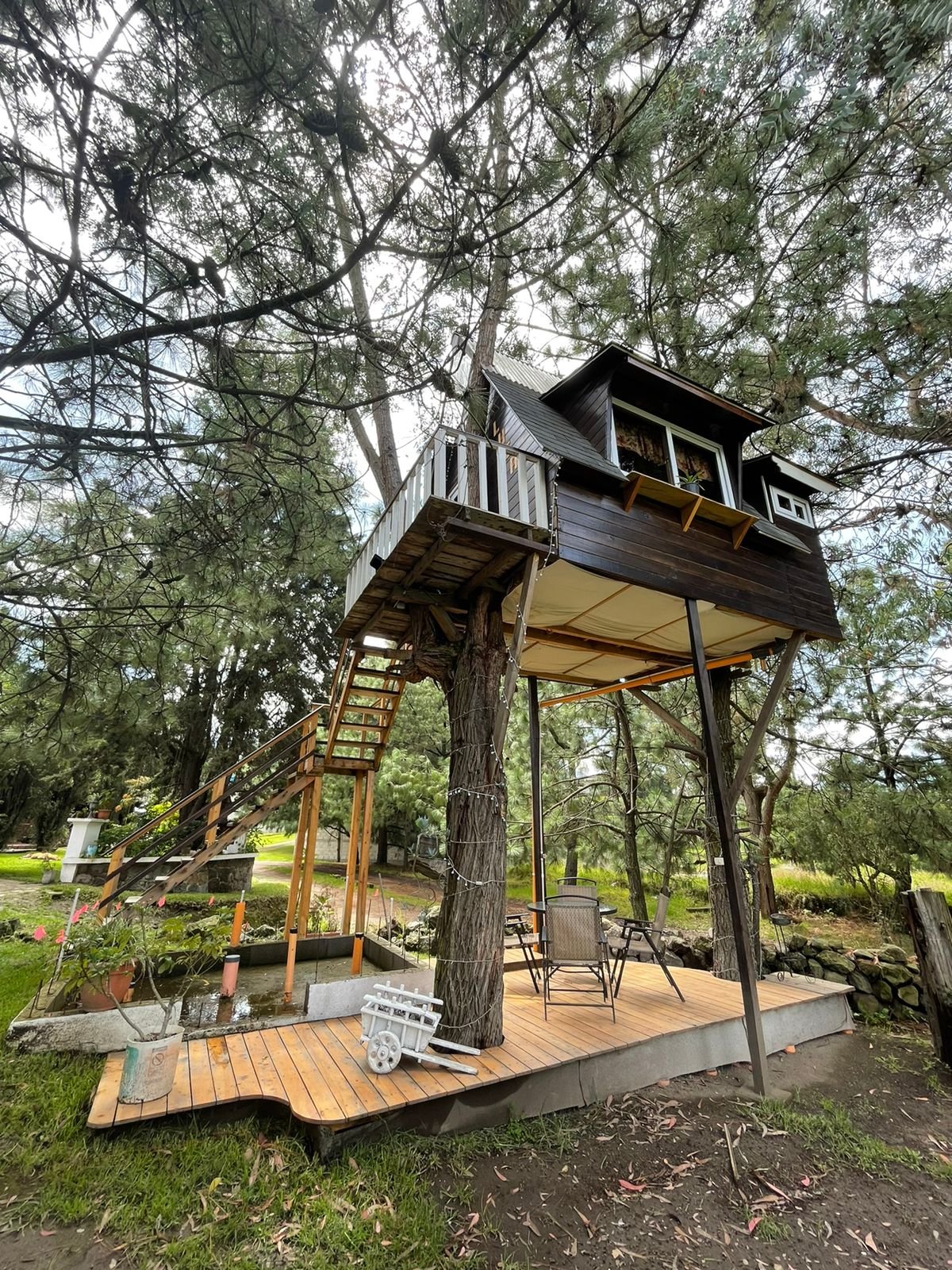 56308a25-fabf-4a57-a208-064f27610bef