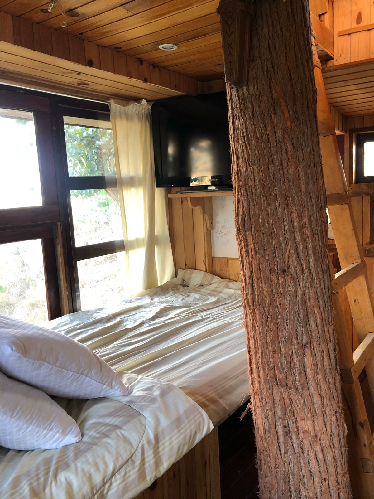 5fafe865-f936-4540-8b9e-6d63a27226a4