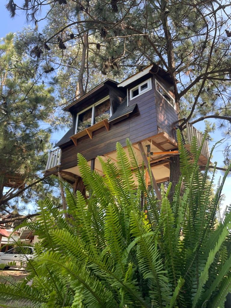 9836ed6d-b933-4f29-bf8e-6b10b349df11 Casa en el Arbol