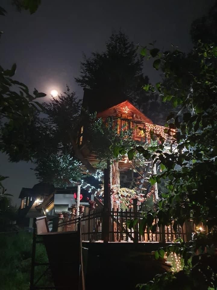 a53cb865-daf4-482c-857e-f0d13933b4d2